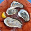 Oysters Ahoy At Two Upcoming Bivalve Bashes 